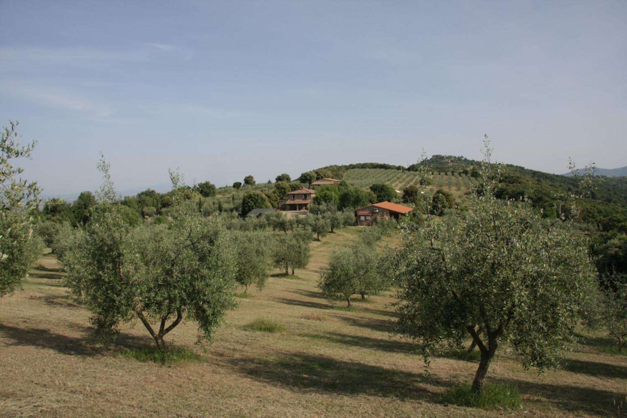 The Country House Montali Tavernelle  Eksteriør billede